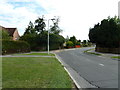 Lamppost in Montgomery Avenue