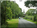 Cycling on Drungewick Lane