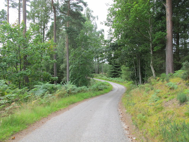 Road Near Dun Earn