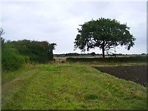 SP4971 : Dunchurch Farmland by Ian Rob