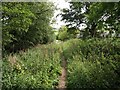 Bridleway near Rigton Moor Farm