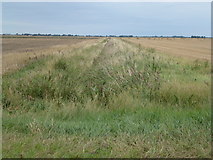 TF3206 : Dike and farmland, Wryde Croft/Inkerson Fen by Richard Humphrey