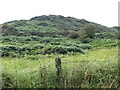 The bracken covered Annagh Hill