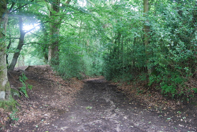 Sussex Border Path