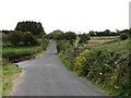 The Magheramayo Road south of the Dolly