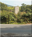 A glimpse of the church tower from Hereford Road, Llantilio Pertholey 