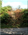 Steps up to a footpath near Llantilio Pertholey