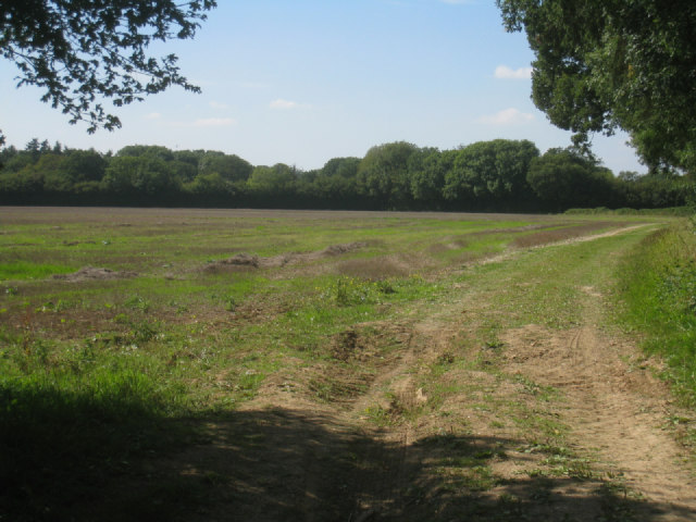 View of Wootton Copse