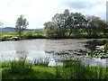 Dam near Ironmacannie Bridge