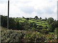 Fields on the slope between Bannanstown Road and Ballymaginaghy Roads