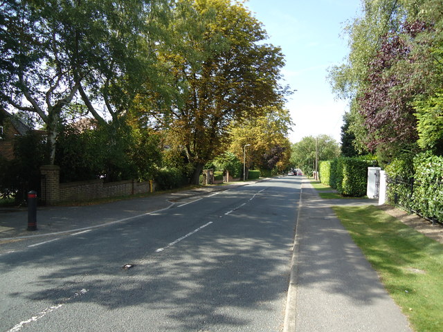 The Ridgeway Fetcham © Stacey Harris Geograph Britain And Ireland