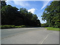 Shere Road, Newlands Corner