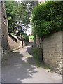 Steps leading up from Cliffe Terrace