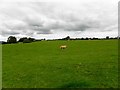 Dunturk Townland