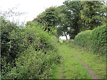 SE5246 : Footpath  to  Normans by Martin Dawes