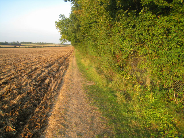 Field margin path