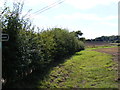 Footpath to Park Road