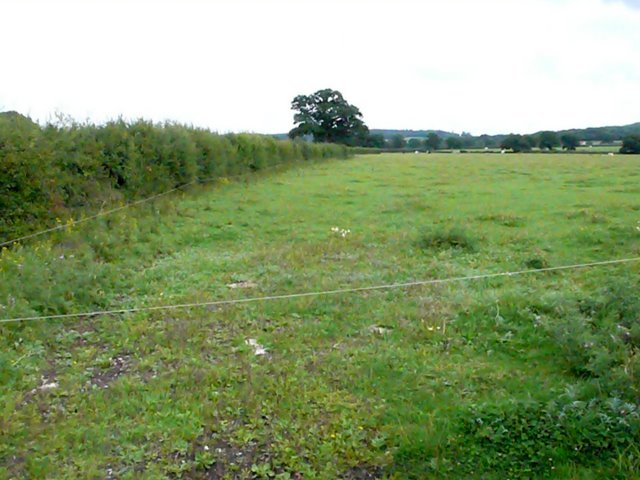 Pasture Fields