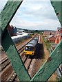 Train approaching Darnall Station