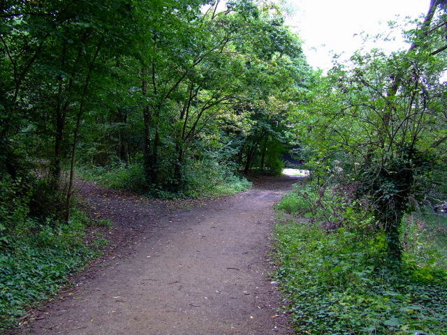 Path in Elthorne Park