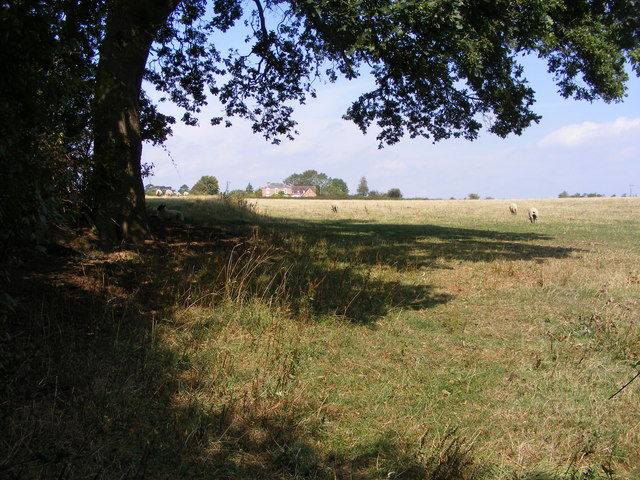Field view