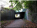 Railway underpass near Haydons Road