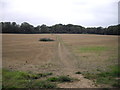 The Icknield Way Trail, near Studham