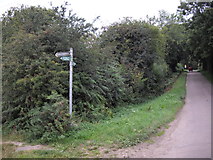 TL0115 : Footpath signpost, Valley Rd, Studham by John Lord