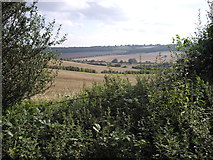 TL0015 : View from Studham Lane, near Dagnall by John Lord