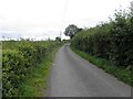 Back Road, Cargacreevy