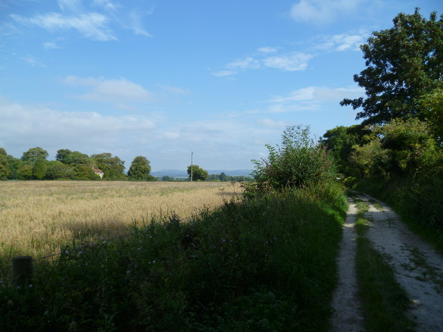 Downland bridleway looking east towards Great Barn Farm