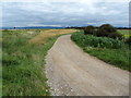 SD3849 : Track from Ridge Farm by Chris Heaton