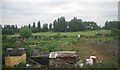 Allotments, Duke