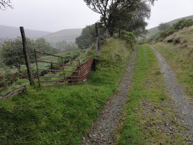 A track in the rain
