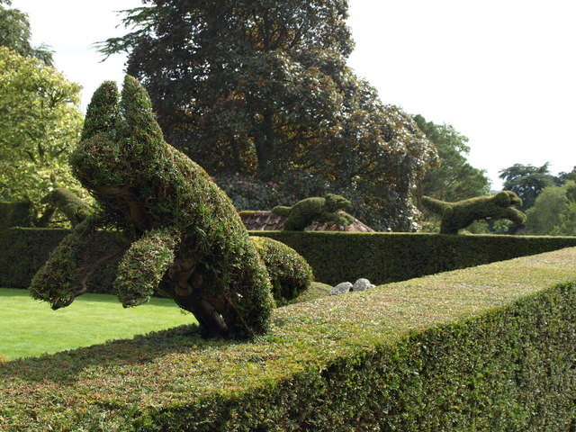 Topiary, Knightshayes Court