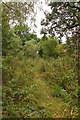 Bridleway to Willowbrook Farm