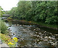 River Neath upstream, Glynneath