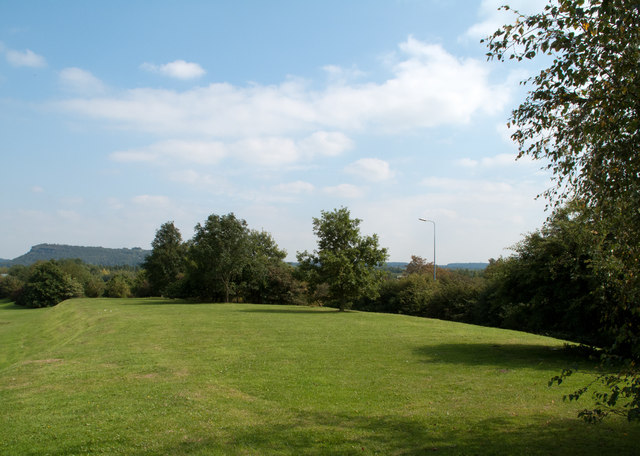 Landscaping adjacent to M56