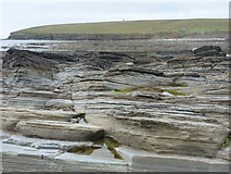 HY2428 : Birsay: rock strata and Brough of Birsay by Chris Downer