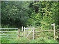 ST6548 : Path Through Harridge Wood by Geoff Pick