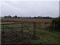 Wet Crop Field and Gates