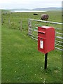 Quholm: postbox № KW16 6