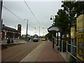 Trams at Weaste Station