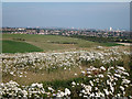 Farmland near Foredown Hill