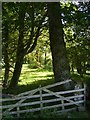 Navar church yard