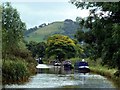 The Macclesfield Canal 