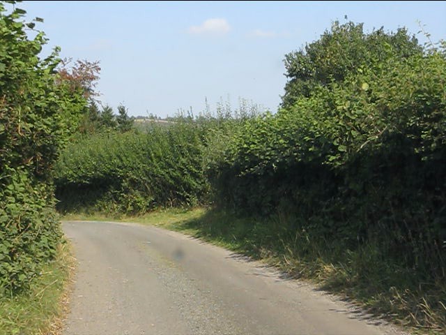 Lane west of Lingen