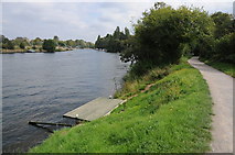TQ1268 : The Thames near West Molesey by Philip Halling