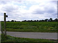 Footpath to Boardy Green