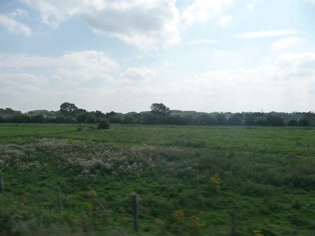West Berkshire : Grassy Field